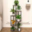 Plant Stand 6 Tier