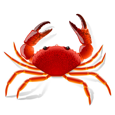 A Red Crab With Claws - Wrapped Canvas Print