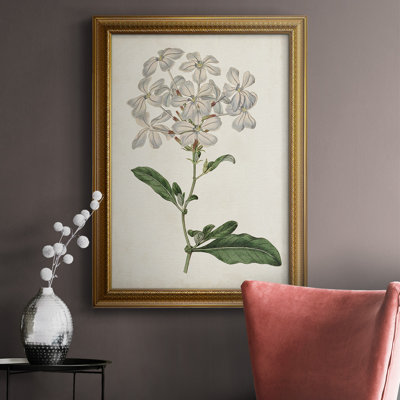 " Antique Botanical Collection VIII "