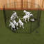 Stylos d'exercice Lucky Dog-11941705