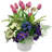 Tulip Arrangement