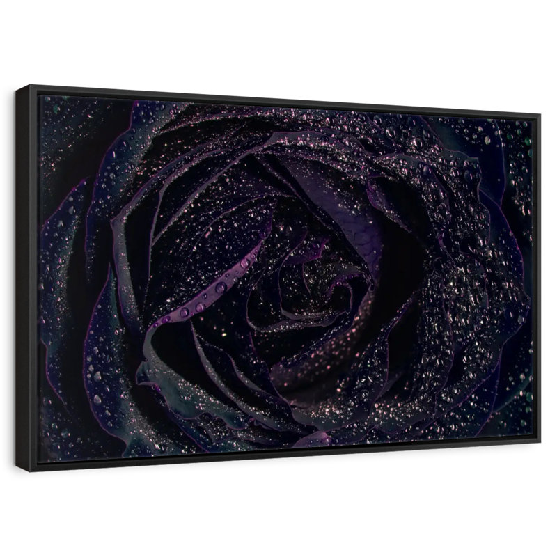 Rose noire scintillante, 46 po x 31 po, Cadre flottant noir