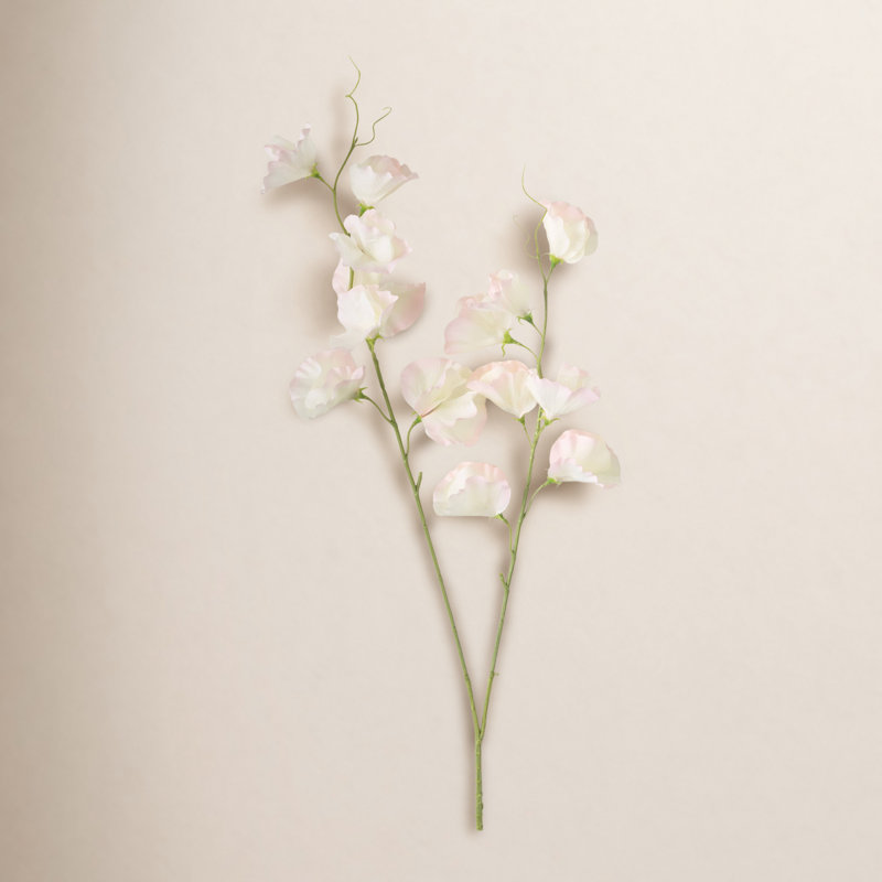 Sweet Pea Arrangement