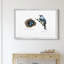 «Bird & Nest Study II», impression sur toile encadrée-1038272027-1038272026