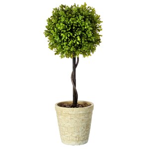 Charlton Home® 21'' Faux Boxwood Topiary in Cement Planter & Reviews ...