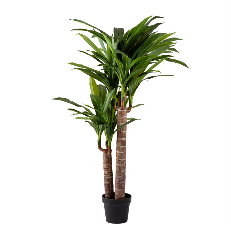 120cm Faux Triple Stem Yucca