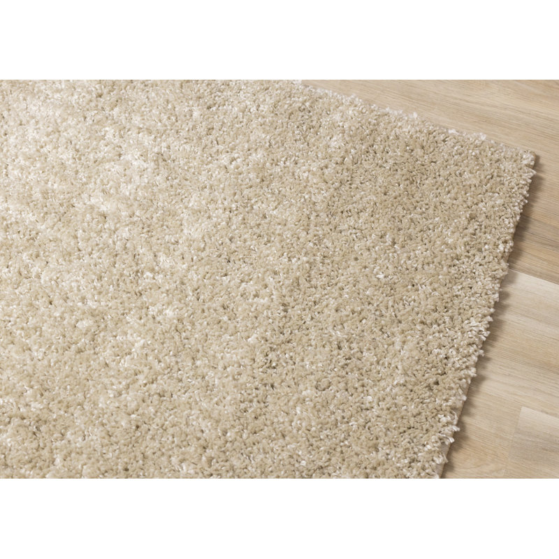 4' X 6' Beige Area Rug