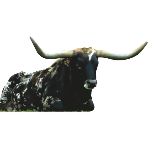 SP13393 Vache Texas Longhorn