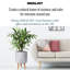 Dotted Style Cylinder Planter with Feet-901821042-901821046