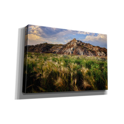 «Summer Evening In The Badlands» par Rick Berk, art mural sur toile