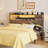 Storage Headboard with LED Lights and Charging Station-2005282746-2005282744
