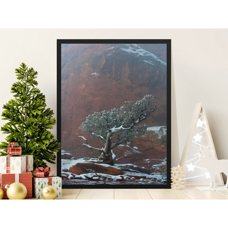 Conlin Single Picture Frame Print, 35.56 cm H x 27.94 cm W