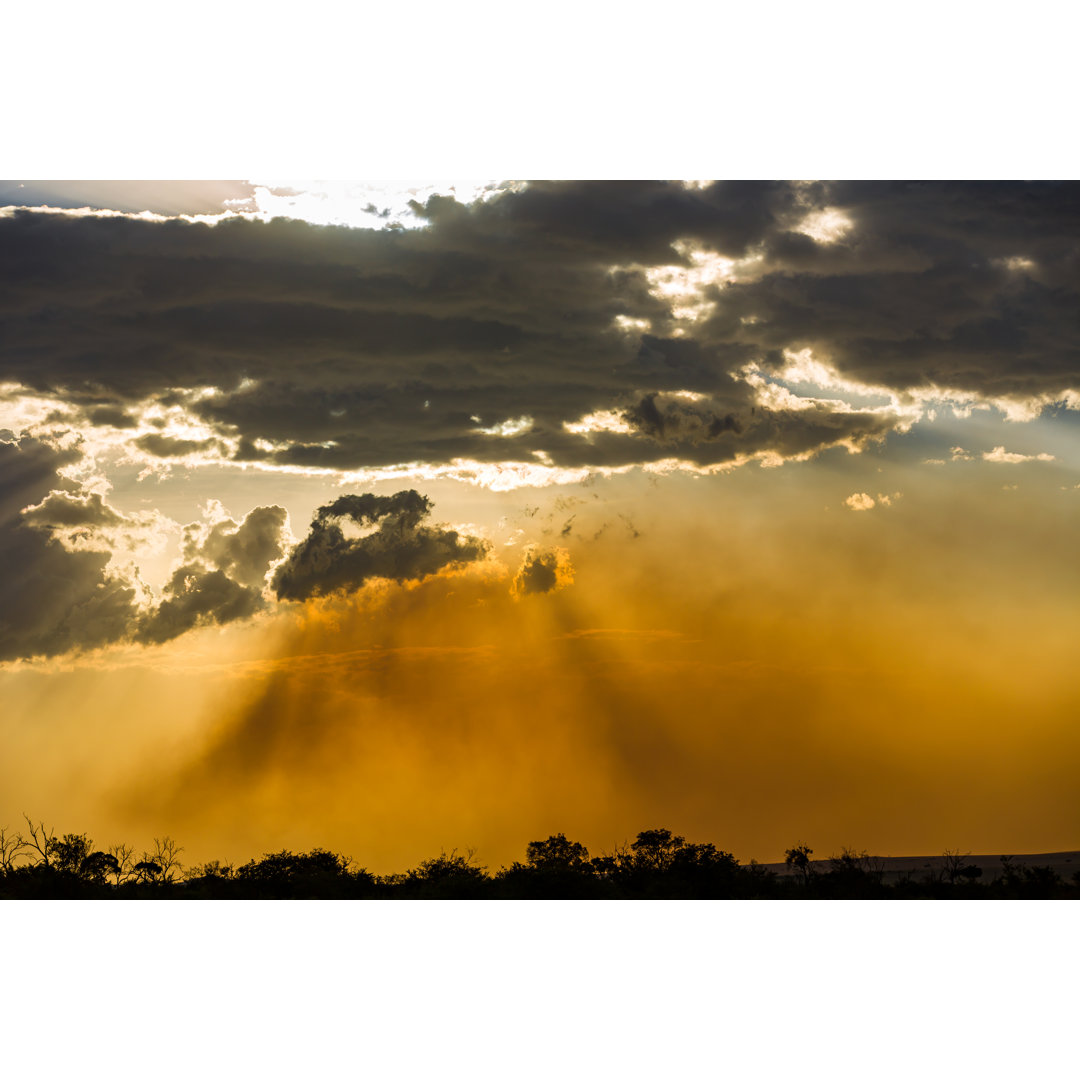 Sandsturm in der Masai Mara - Drucken