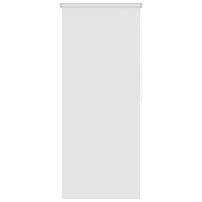 Room Darkening Roll-Up Blind
