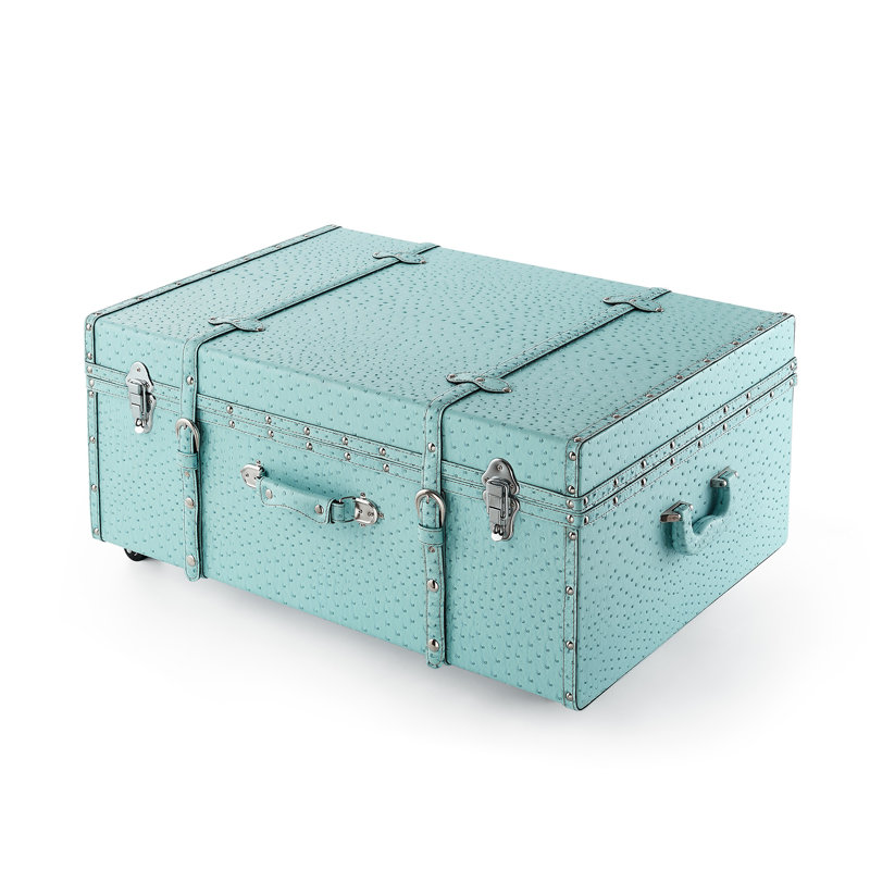 Texture Brand Trunk - Vibrant Aqua Ostrich, Blue