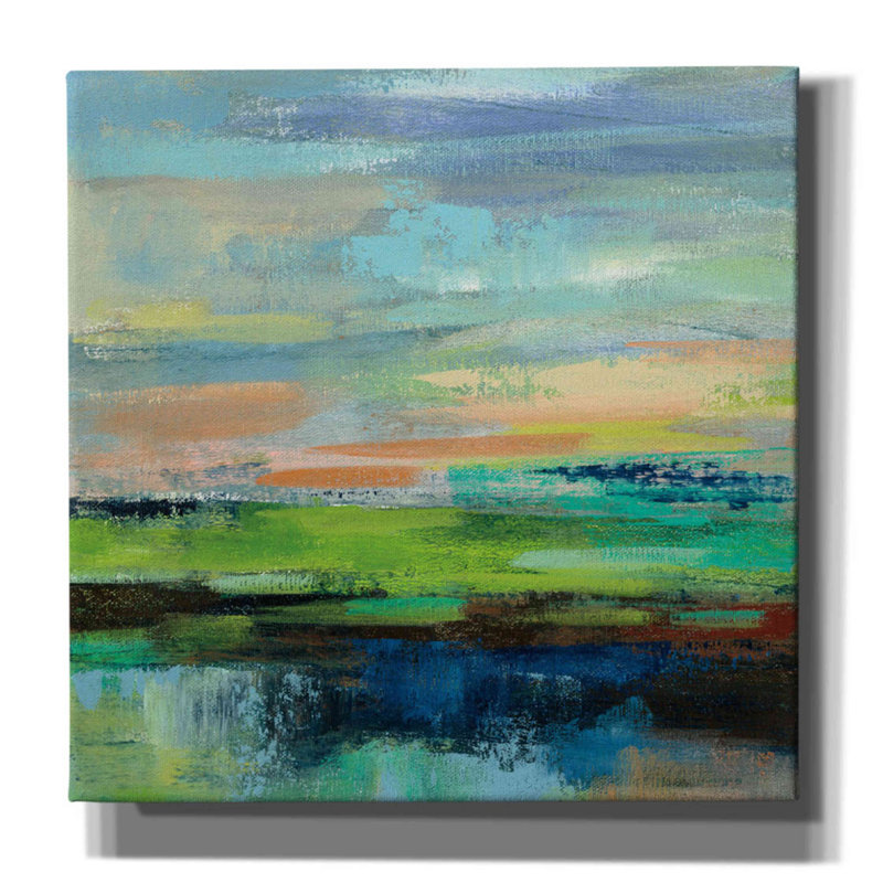 Delmar Sunset II par Silvia Vassileva