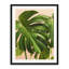 Verdure #2 Print by Alicia Bock-65825536-65850073