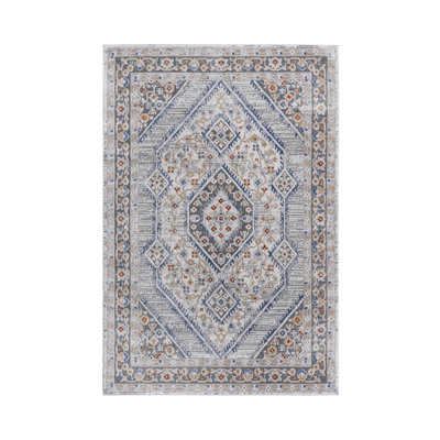 Collection Non-Shedding Living Room Bedroom Dining Home Office Stylish And Stain Resistant Area Rug