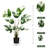 47'' Faux Palm Plant in Pot
