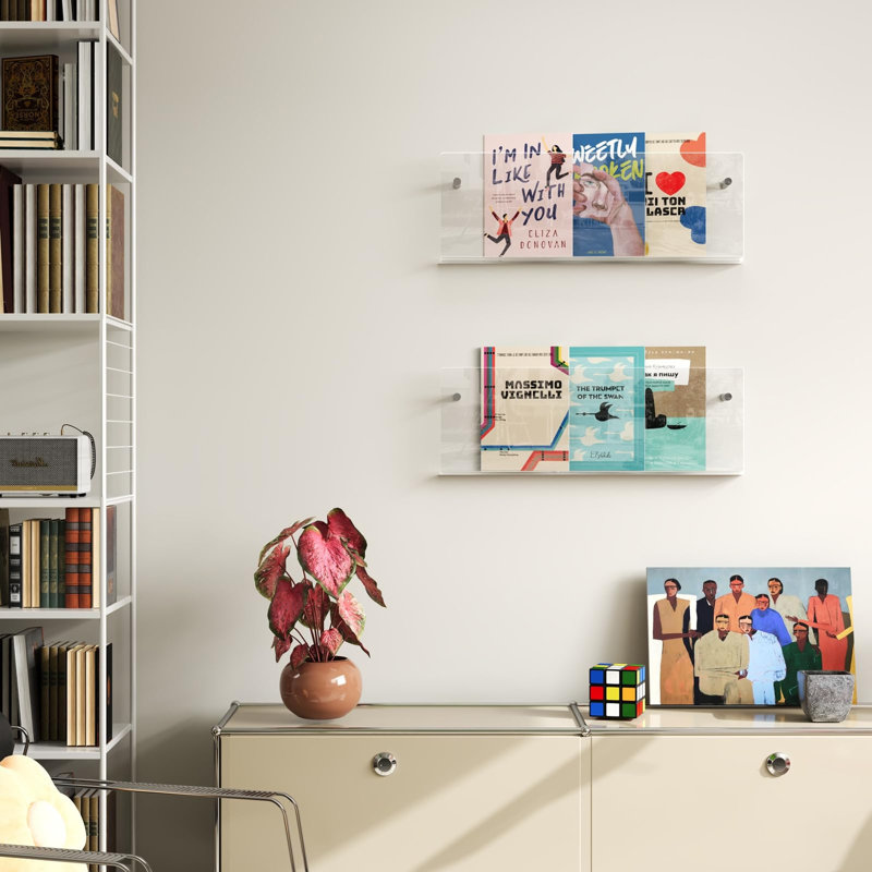 2 Pack Hanging Magazine Rack