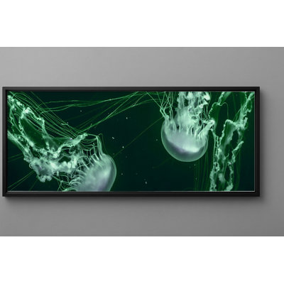 Gibbs Print