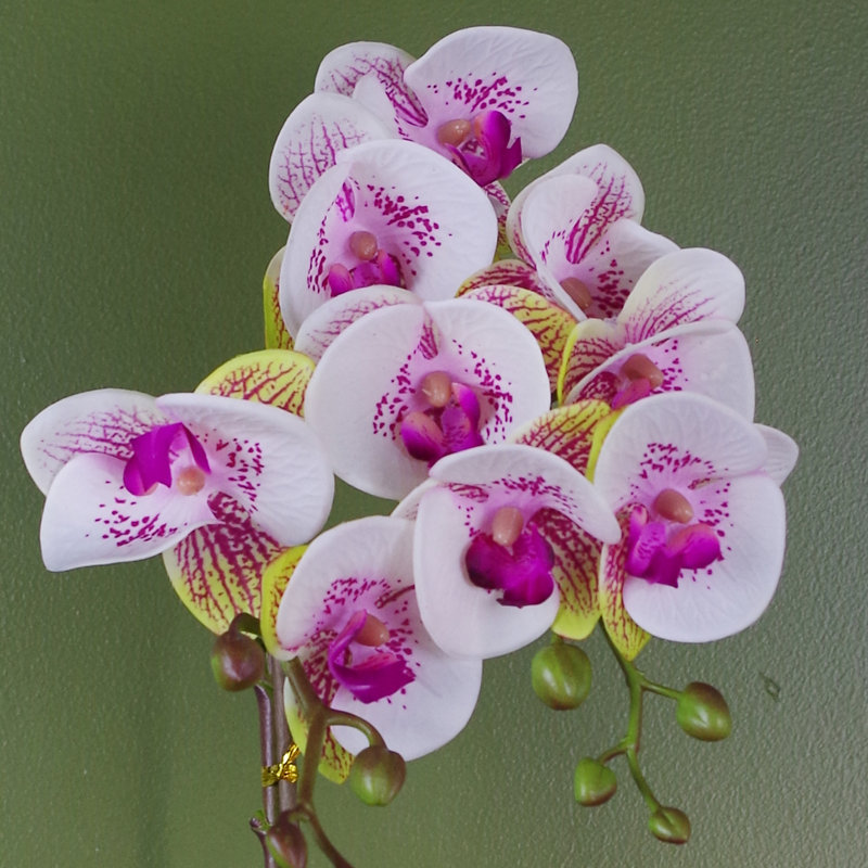 Plastic, Silk Artificial Arrangement in Pot, Pink/White, 48cm H x 20cm W x 20cm D