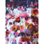 Best For Last Print by Elizabeth Chapman-64402120