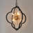 Kaylaa 6 - Light Sputnik/Cage Dining Room Chandelier