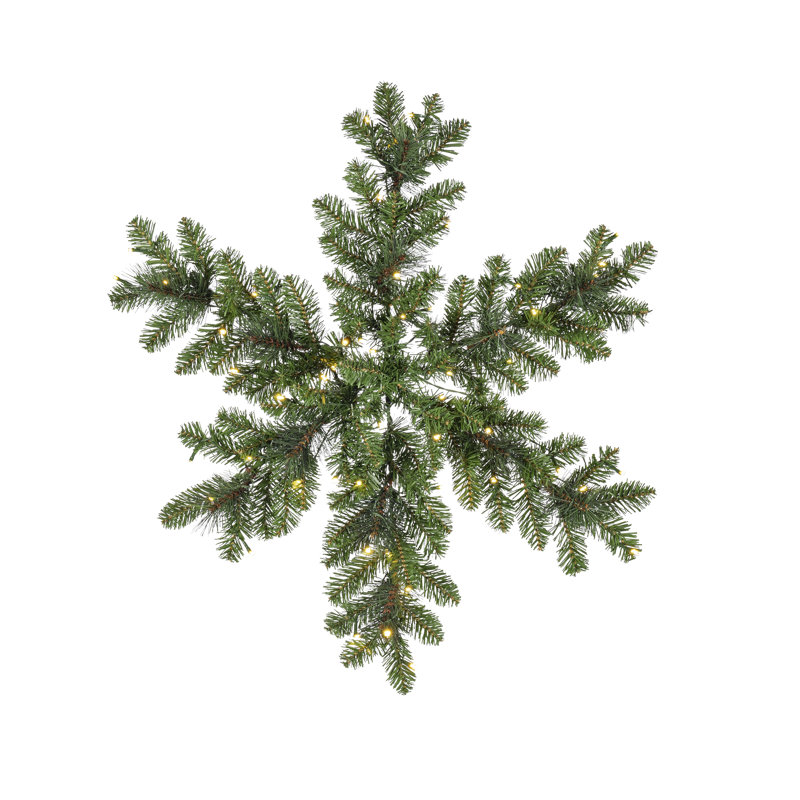 Élégant flocon de neige en mélange d'aiguille 30 pouces avec 50 lumières DEL blanc chaud