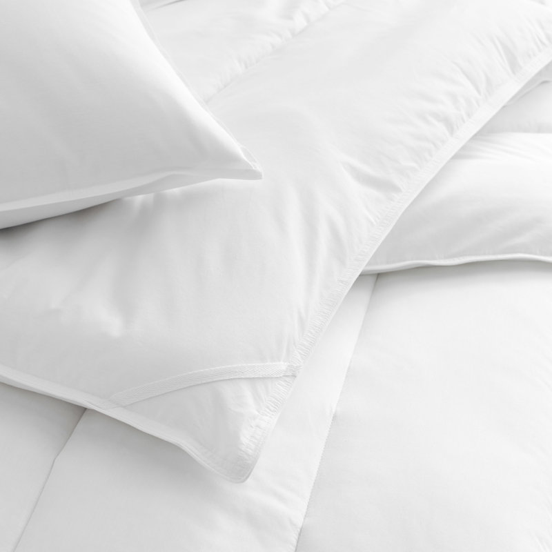 Martex Clean Essentials Pillow and Pillow Protector Set With Silverbac Antimicrobial Technology, Standard
