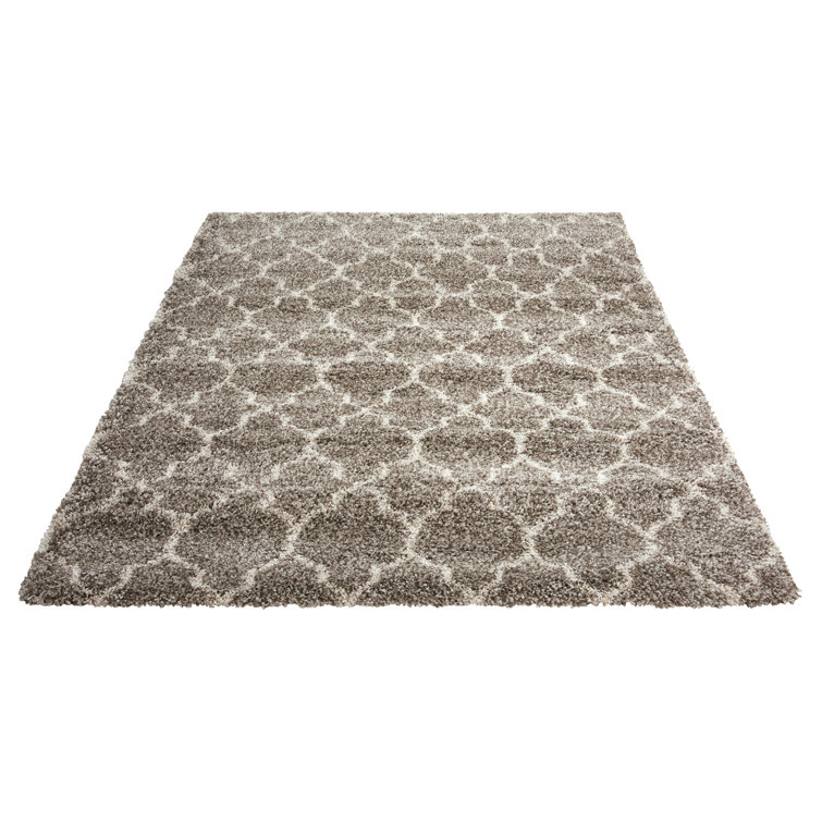 Patinkin Geometric Shag Area Rug