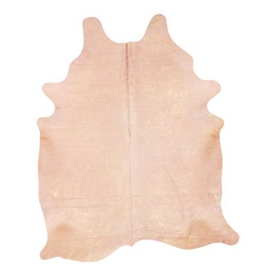 Solid Color Novelty 5' x 7' Leather Indoor Use Only Area Rug in Nude