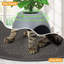 Polyethylene Plastic Litter Box-213346340