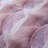 Mycelium Dream Cotton Comforter Set Dusty Pink 3 Piece Set King-116501356