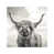 Toile tendue sélectionné