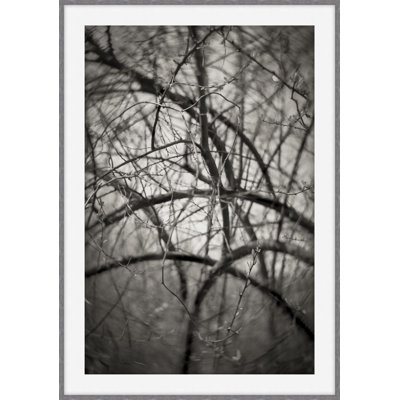 My Kingdom 4 Print by Ralph Mercer