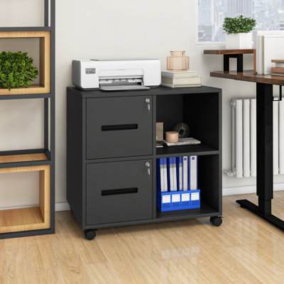 80cm Wide 2 -Drawer Mobile Steel File Cabinet