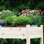 Raised Garden Bed-1505342875