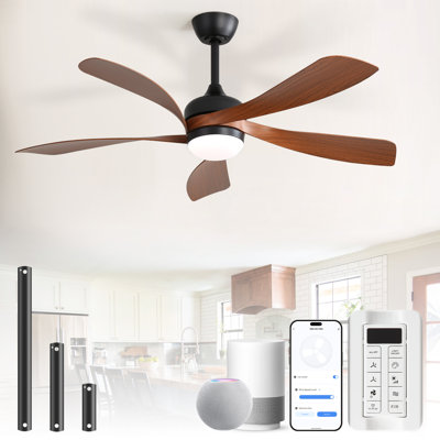 Damecia 5 - Blade Smart Standard Ceiling Fan with Remote Control and LED Light