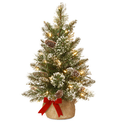 2ft. Glittery BristlePine Tree with LED Lights