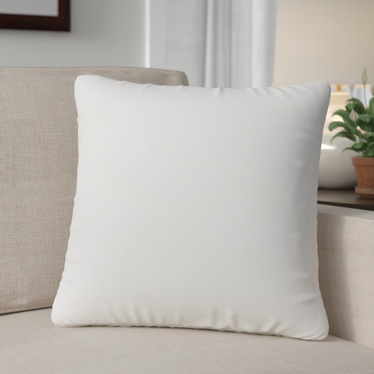 https://assets.wfcdn.com/im/94385620/resize-h755-w755%5Ecompr-r85/4964/49644774/Mcbride+Pillow+Insert.jpg