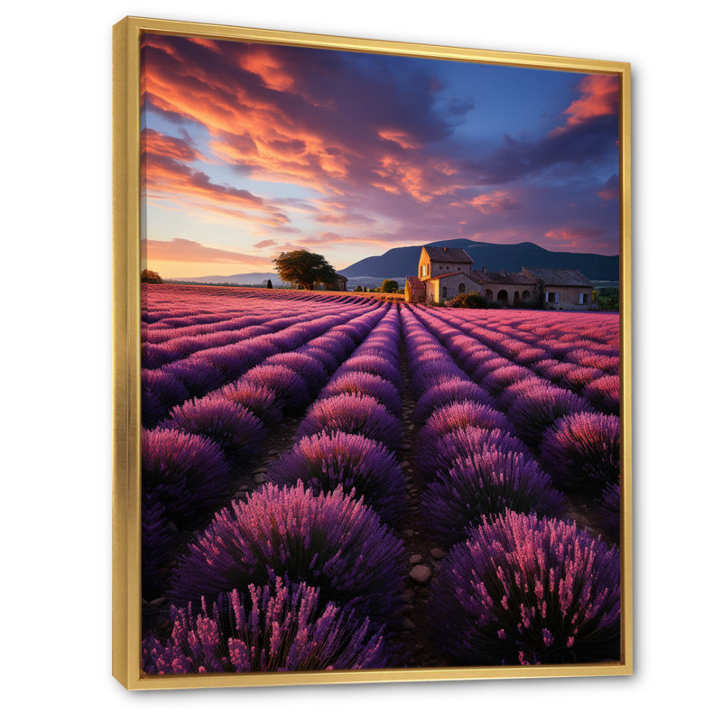 «French Provencal Lavender Fields II - France», reproduction d'art sur toile, H 44 po x l 34 po x P 1,5 po