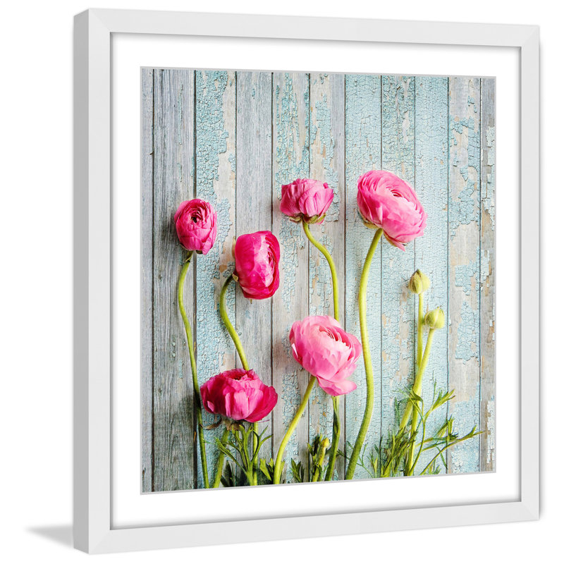 Sylvia Cook - Single Picture Frame Print, 51 cm H x 51 cm W x 3.81 cm D