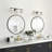 3-lamp matte black adjustable glass Vanity Light