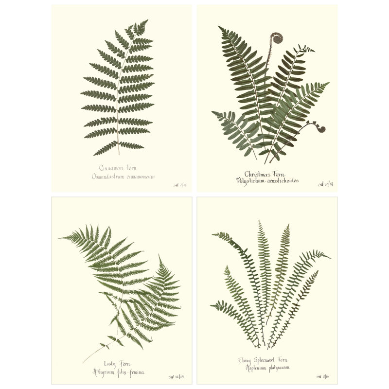 Plants & Flowers Set by Sandy Whitaker