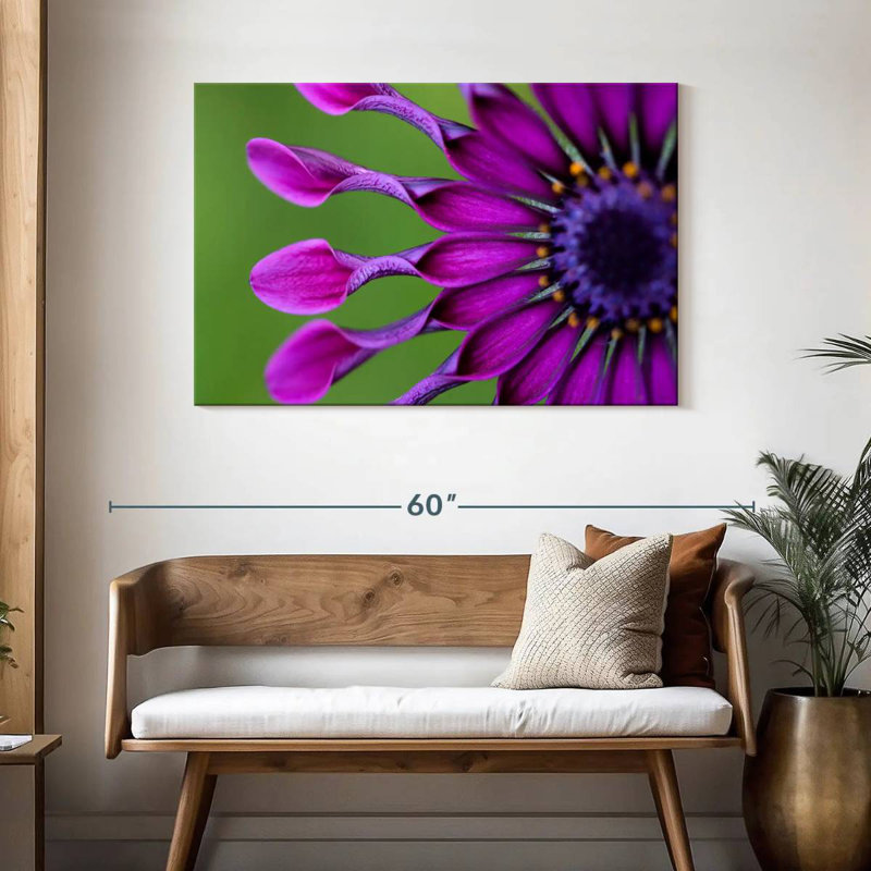 Marguerite mauve exotique Harnek, H 30 po x l 45 po