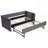 Velvet Upholstered Daybed with Sturdy Wooden Frame, Modern Diamond Grid Design, Perfect for Bedrooms and Living Rooms-1426997719