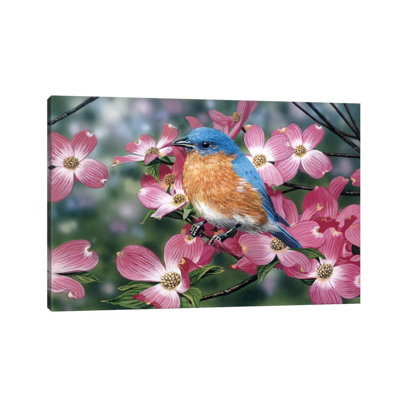 Bluebird/Pink Dogwood by William Vanderdasson - Wrapped Canvas Print