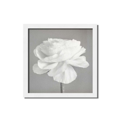 Simplement rose, noir et blanc par Hal Halli. Impression sur papier - Montée et encadrée avec de l'acrylique transparent