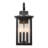 Manasas Iron Wall Light